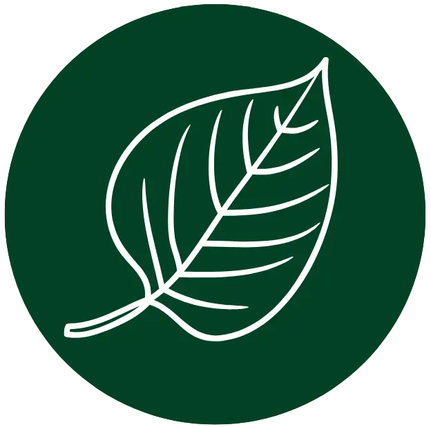 White Leaf Icon in Green Circle