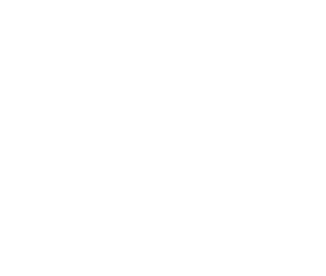 Graphic Design Computer with Plant